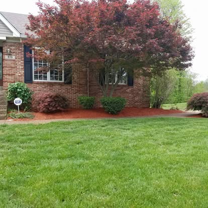Freshly mowed residential lawn Louisville KY