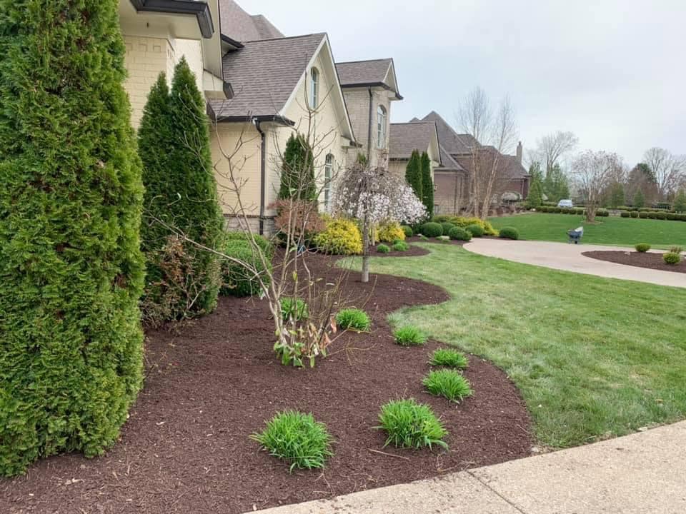 Professional landscaping by Gray's Lawn Service in Louisville, KY