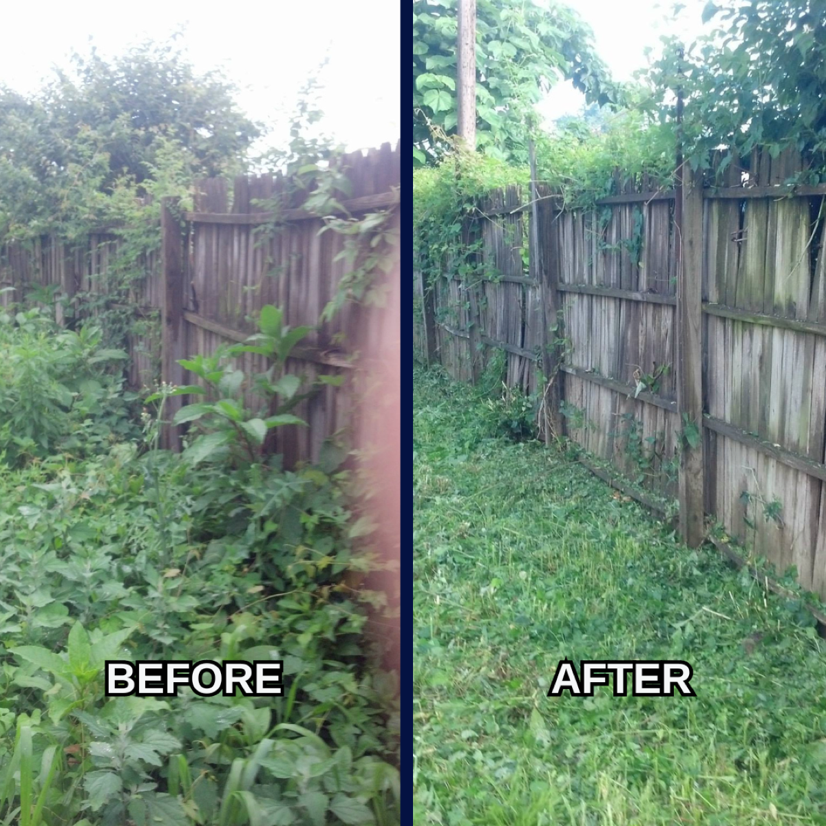 Landscaping and lawn maintenance Louisville