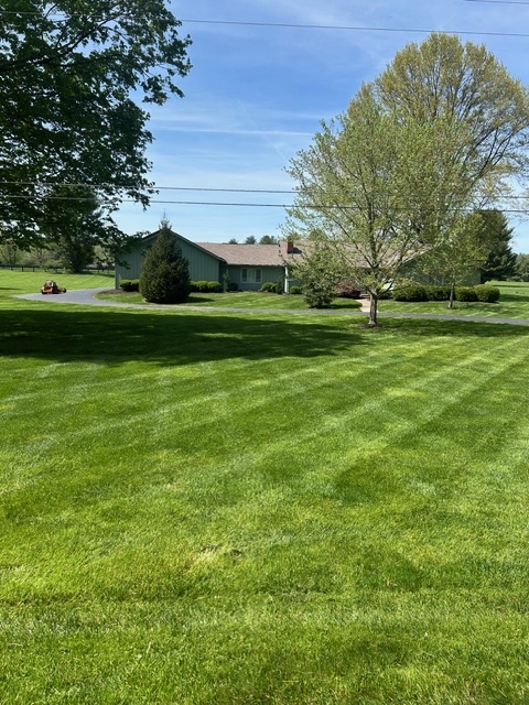 Freshly mowed lawn with stripes in Louisville