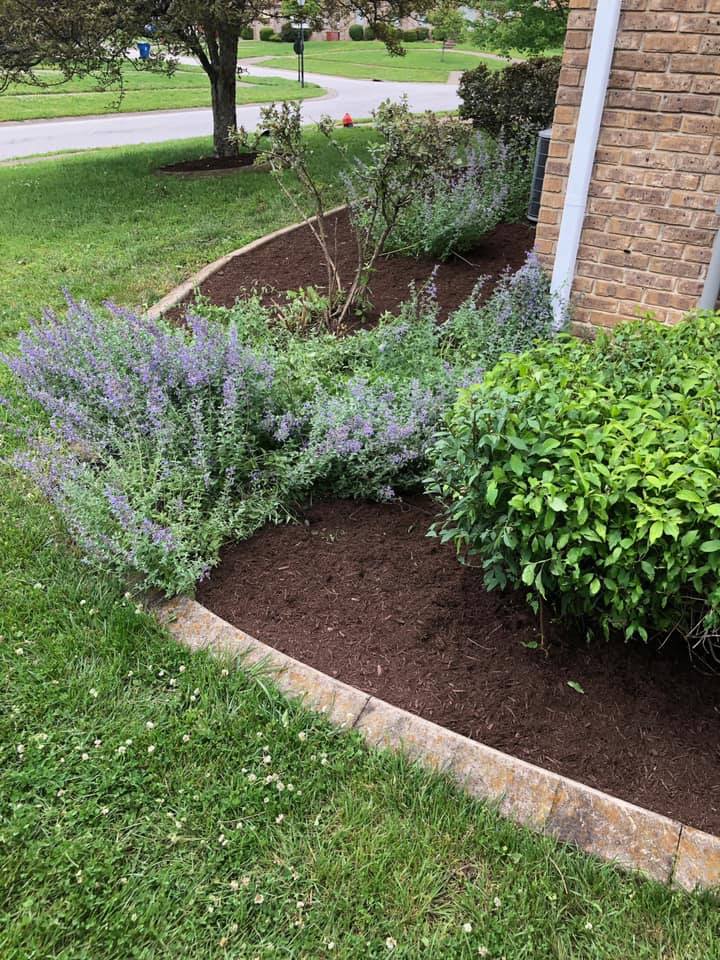 Landscaping and mulch installation Louisville