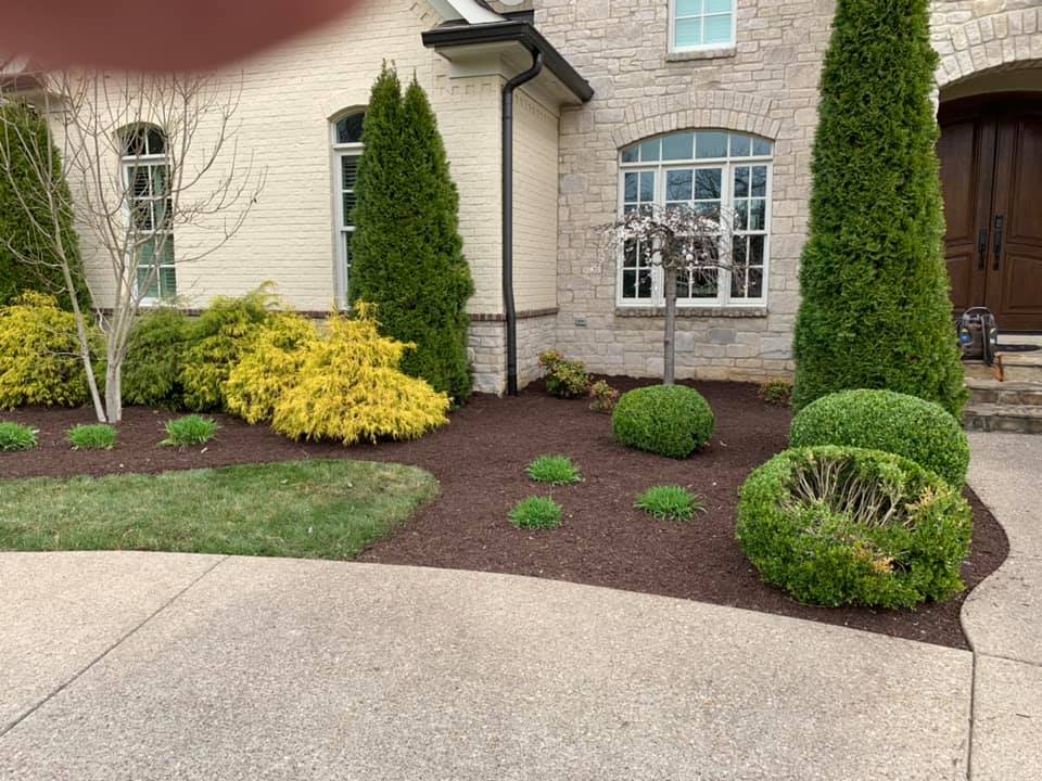 Fresh landscaping and lawn care
