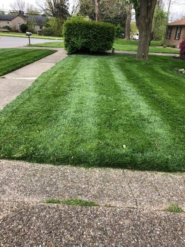 Landscaping maintenance Louisville